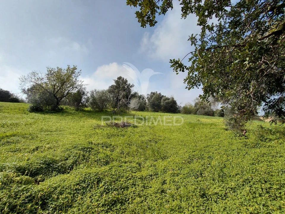 Terreno para Venda em Quelfes Foto 3