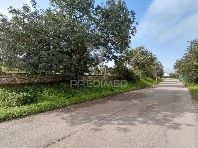 Terreno para Venda em Quelfes Foto 5