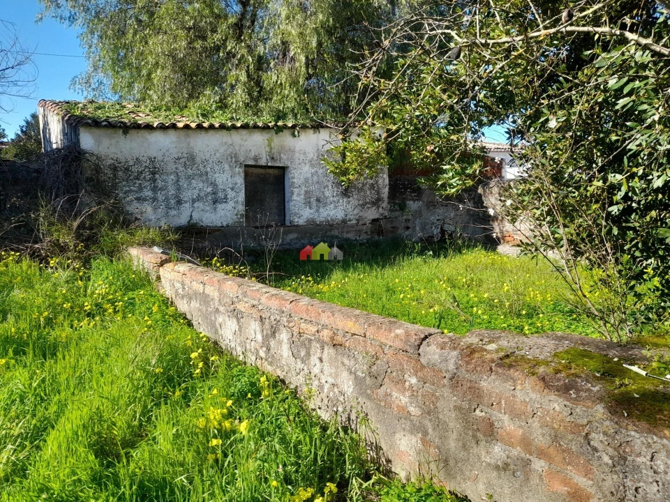 Terreno para Venda em Pedrogão Foto 7