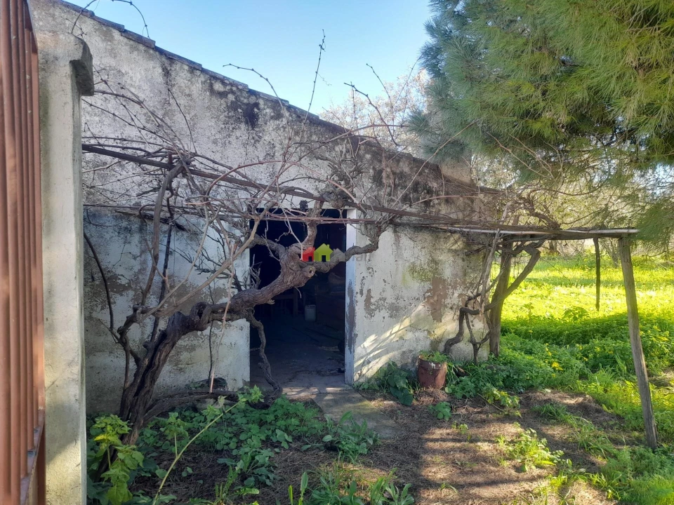 Terreno para Venda em Pedrogão Foto 2