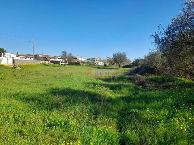 Terreno para Venda em Pedrogão Foto 5