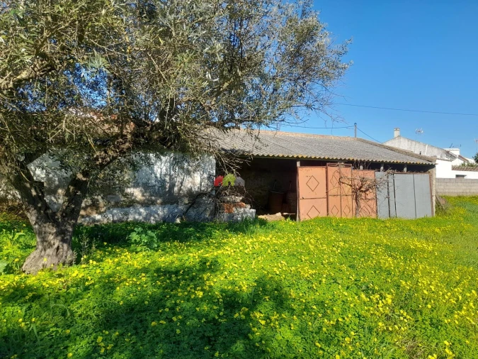 Terreno para Venda em Pedrogão Foto 6