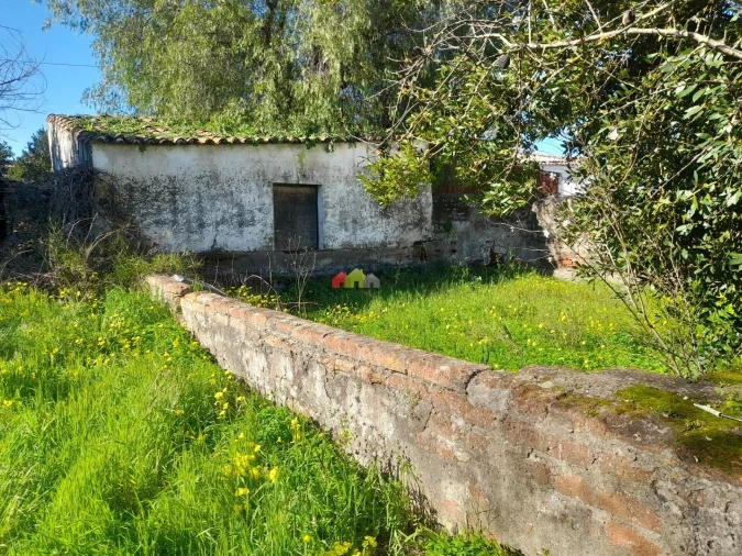Terreno para Venda em Pedrogão Foto 8