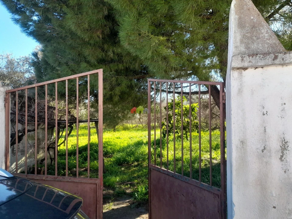 Terreno para Venda em Pedrogão Foto 1