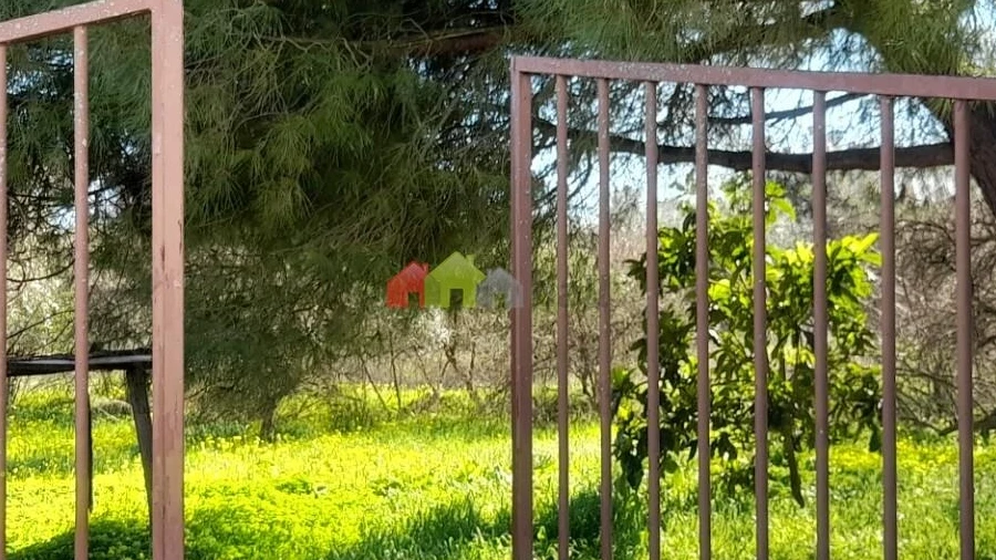 Terreno para Venda em Pedrogão
