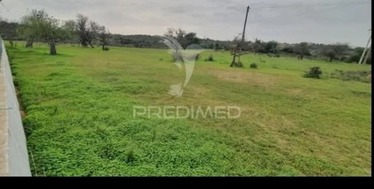 Terreno para Venda em Guia