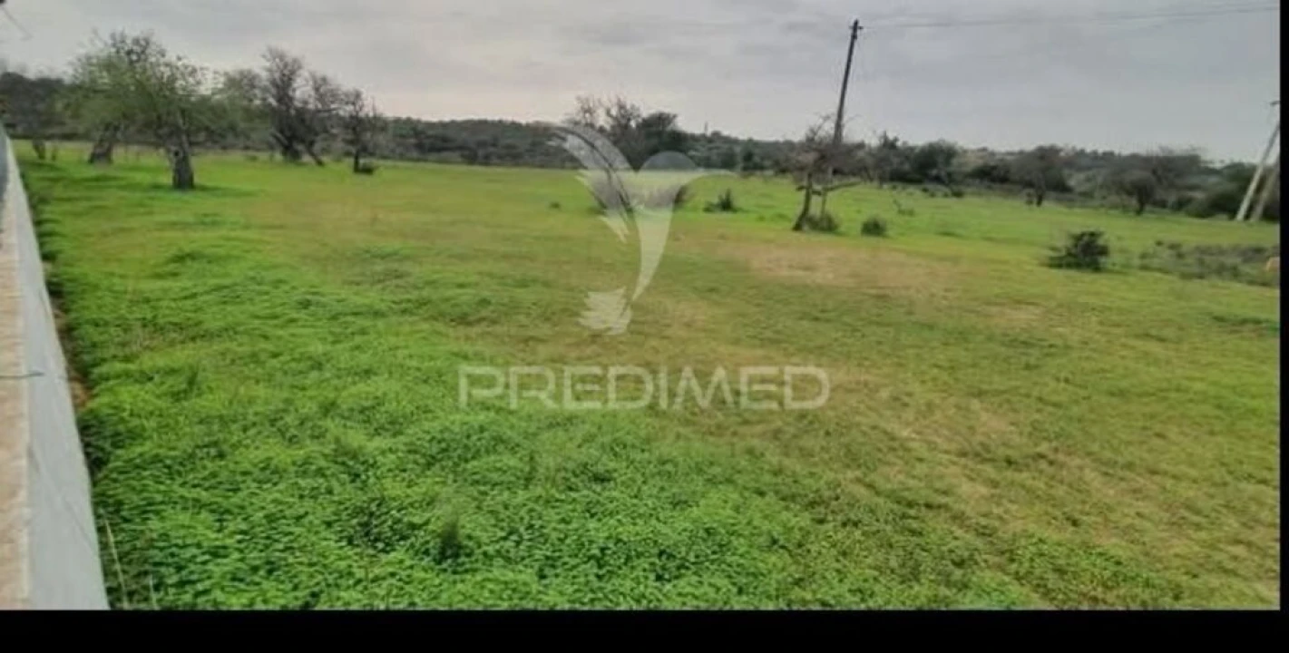 Terreno para Venda em Guia Foto 1