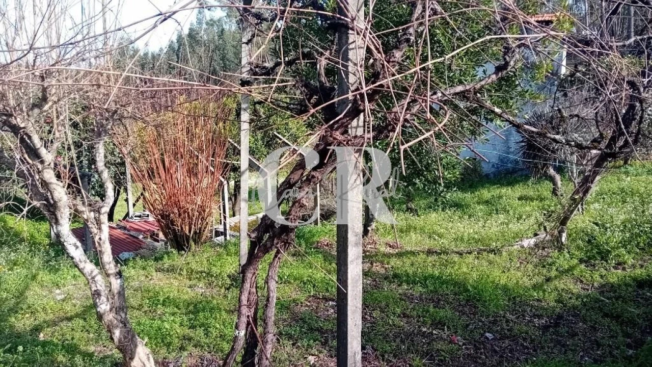 Moradia T4 para Venda em Figueiró dos Vinhos e Bairradas Foto 19