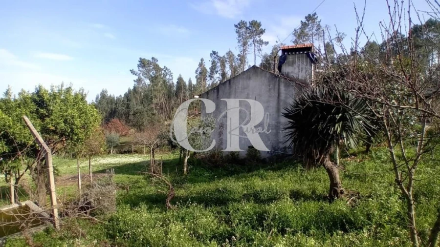 Moradia T4 para Venda em Figueiró dos Vinhos e Bairradas Foto 26