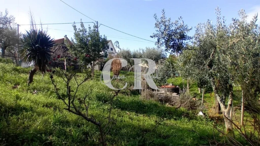 Moradia T4 para Venda em Figueiró dos Vinhos e Bairradas Foto 22