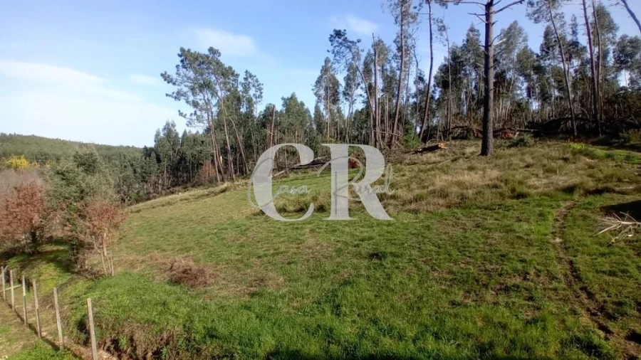 Moradia T4 para Venda em Figueiró dos Vinhos e Bairradas Foto 35