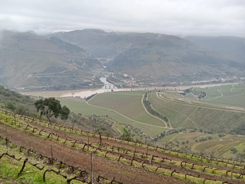 Terreno para Venda em Soutelo do Douro Foto 1