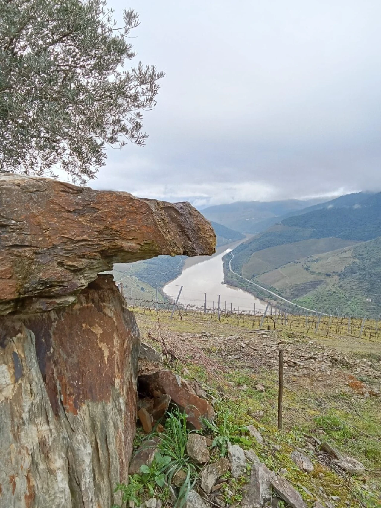 Terreno para Venda em Soutelo do Douro Foto 11