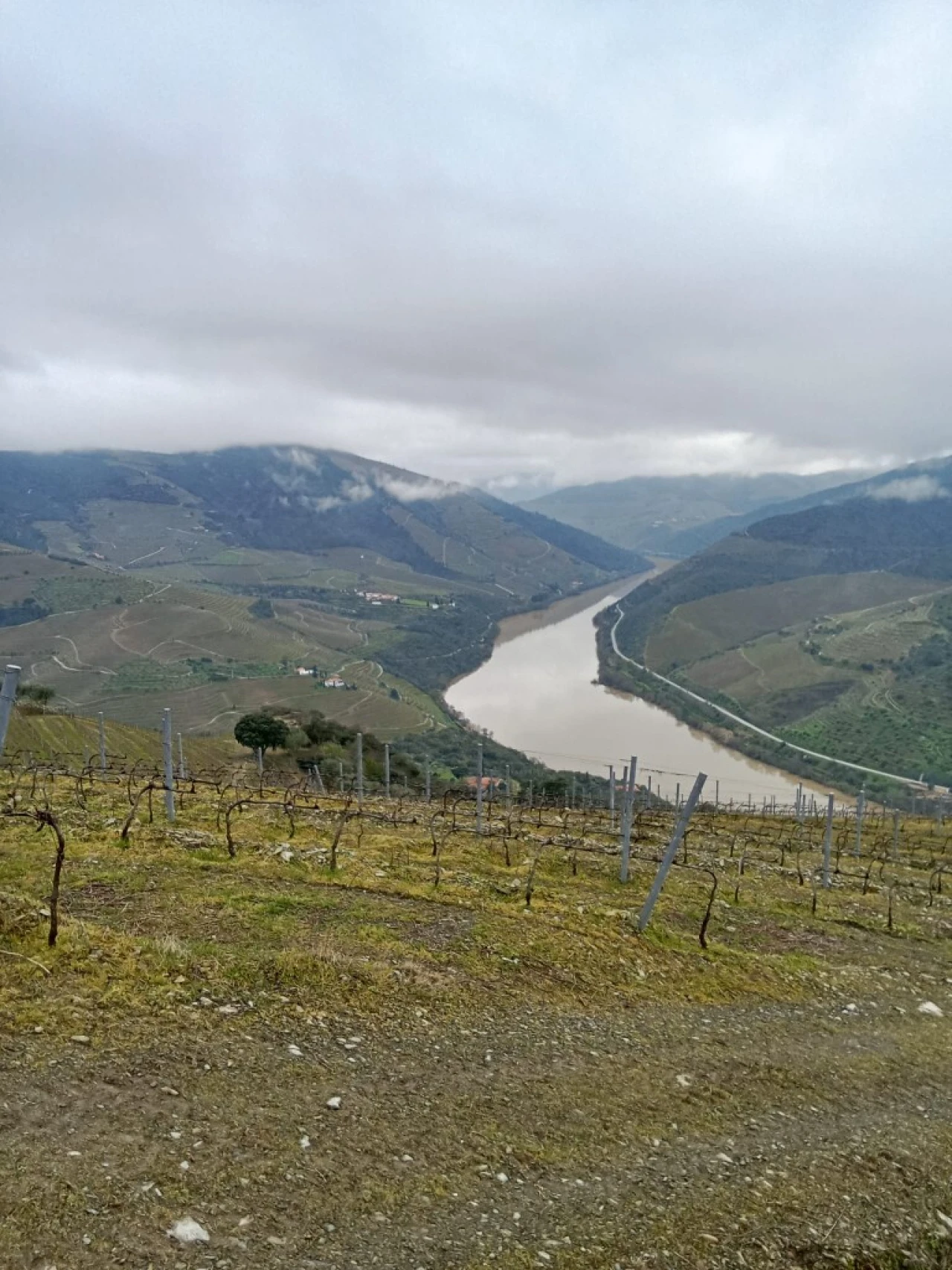 Terreno para Venda em Soutelo do Douro Foto 7