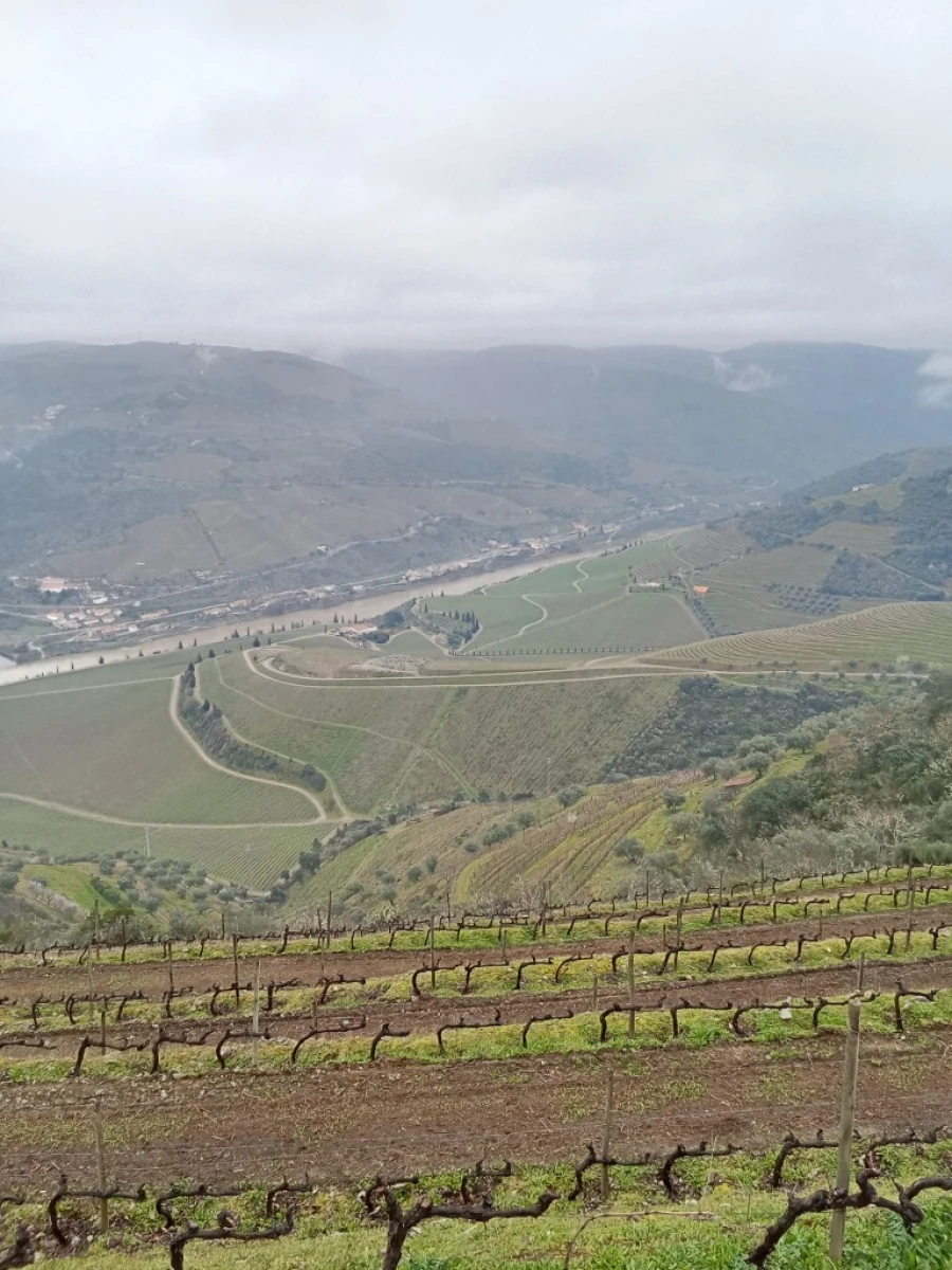 Terreno para Venda em Soutelo do Douro Foto 5