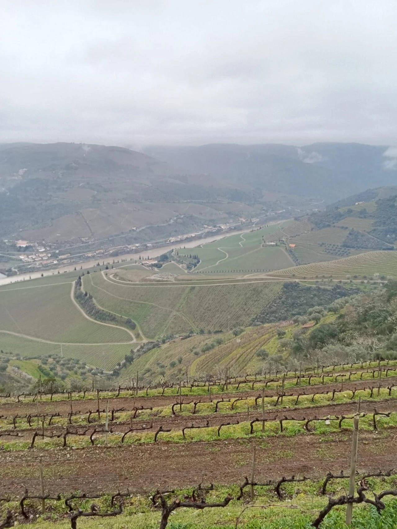 Terreno para Venda em Soutelo do Douro Foto 5
