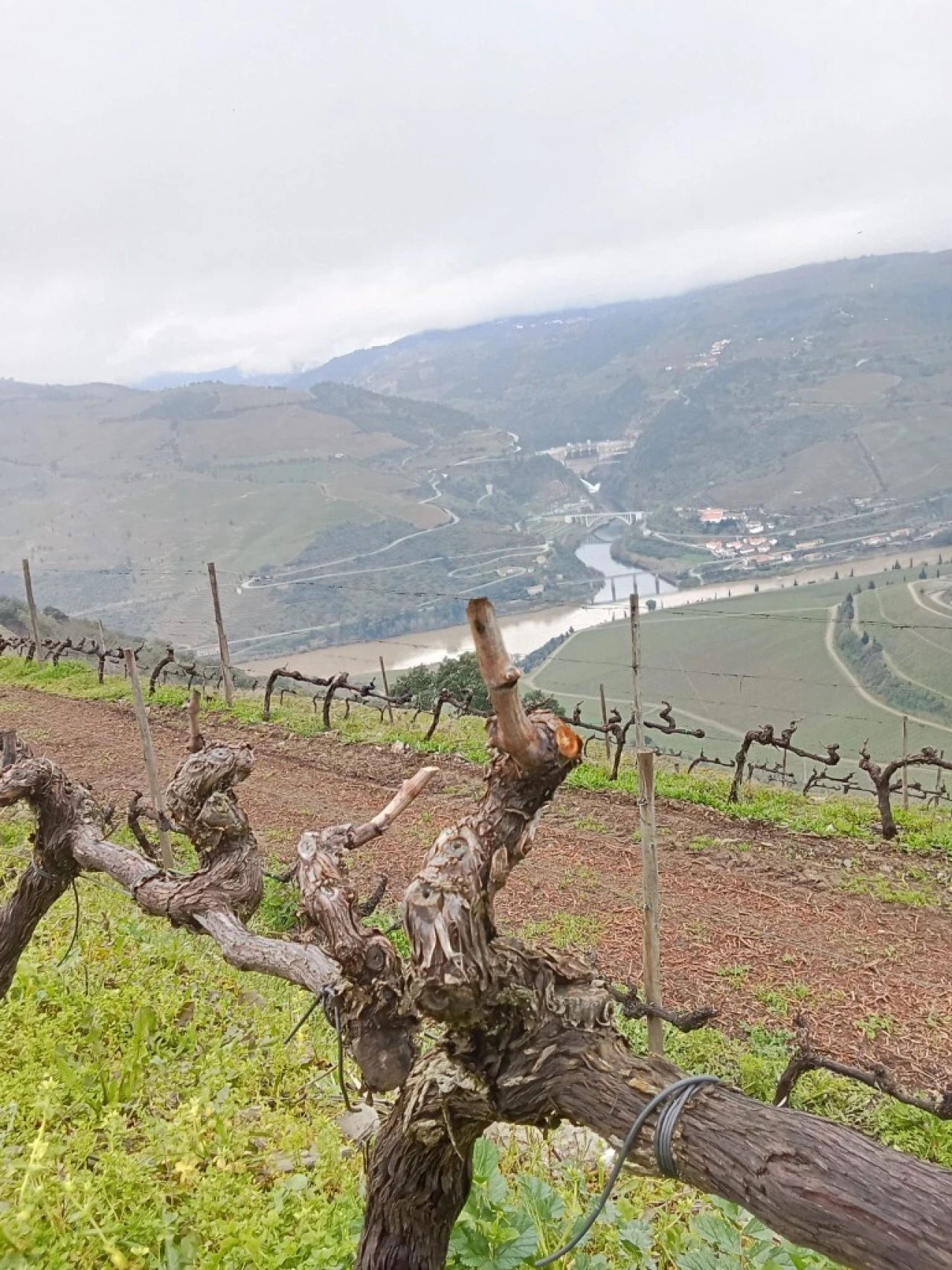 Terreno para Venda em Soutelo do Douro Foto 10