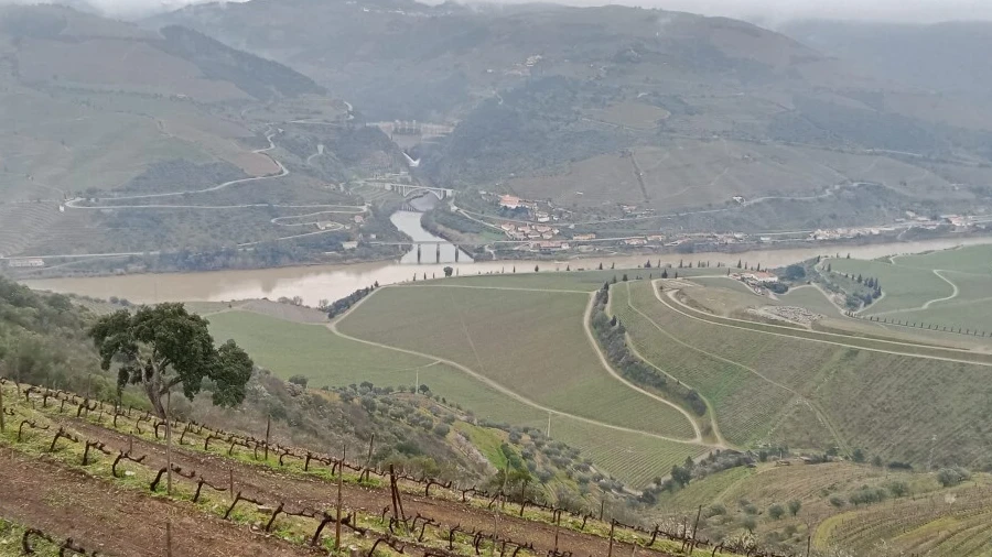 Terreno para Venda em Soutelo do Douro