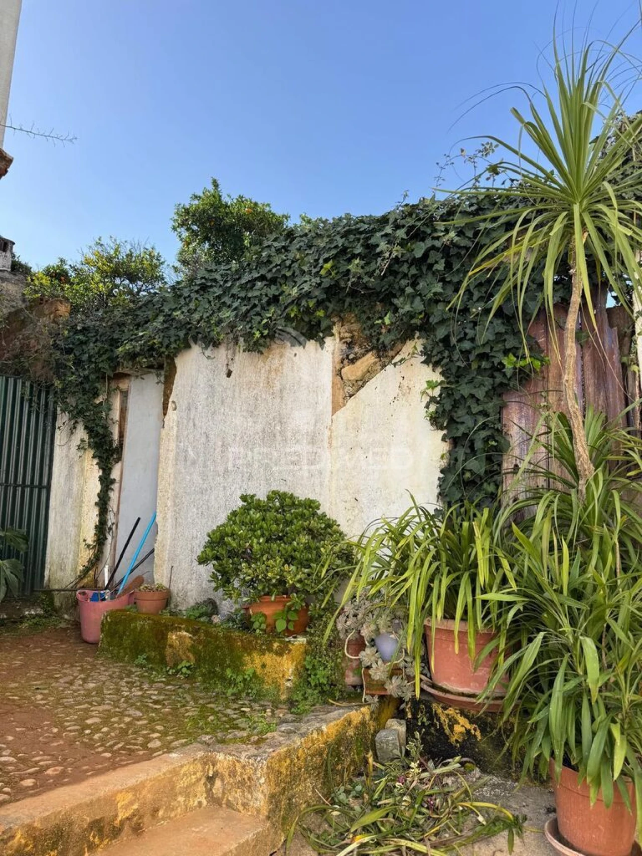 Moradia T4 para Venda em Sardoal Foto 7