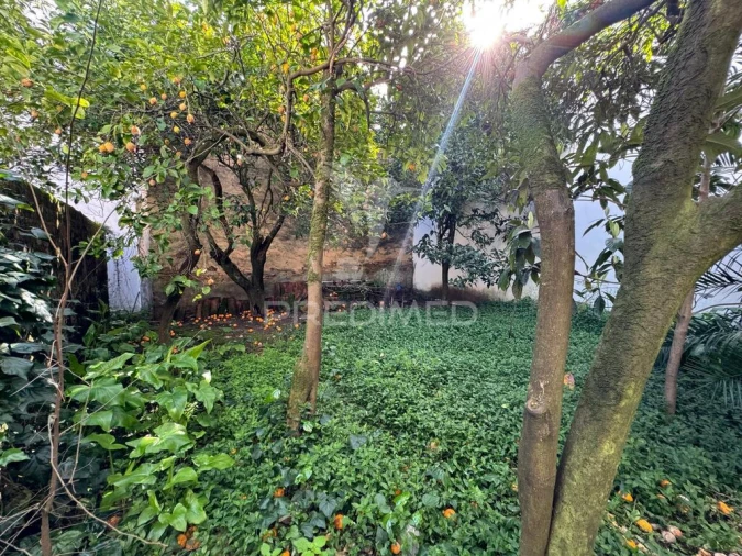 Moradia T4 para Venda em Sardoal Foto 6