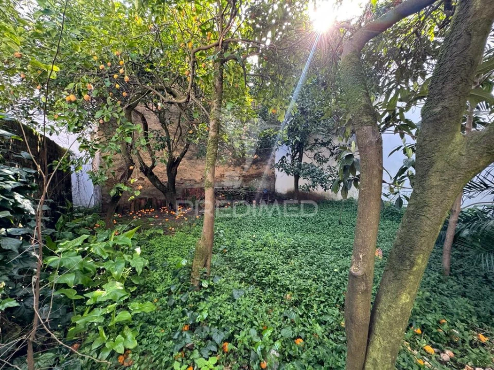 Moradia T4 para Venda em Sardoal Foto 6