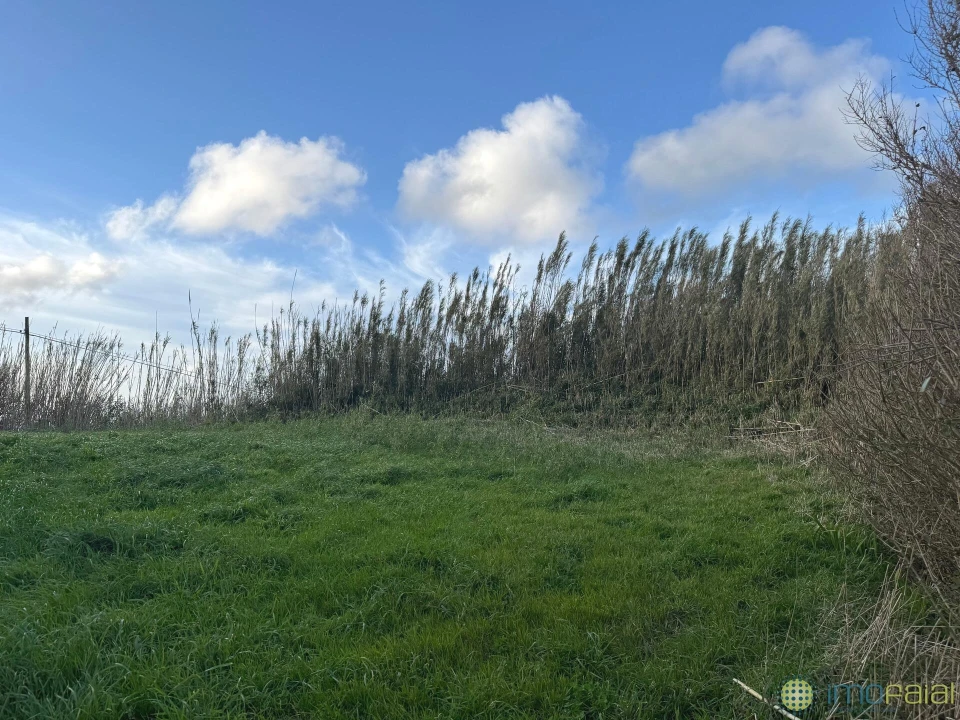 Moradia T2 para Venda em Cedros Foto 5