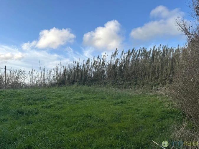 Moradia T2 para Venda em Cedros Foto 5