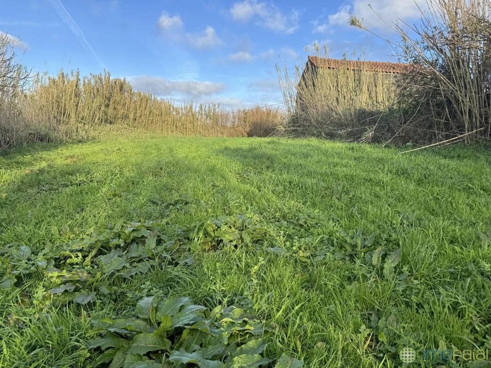 Moradia T2 para Venda em Cedros Foto 3