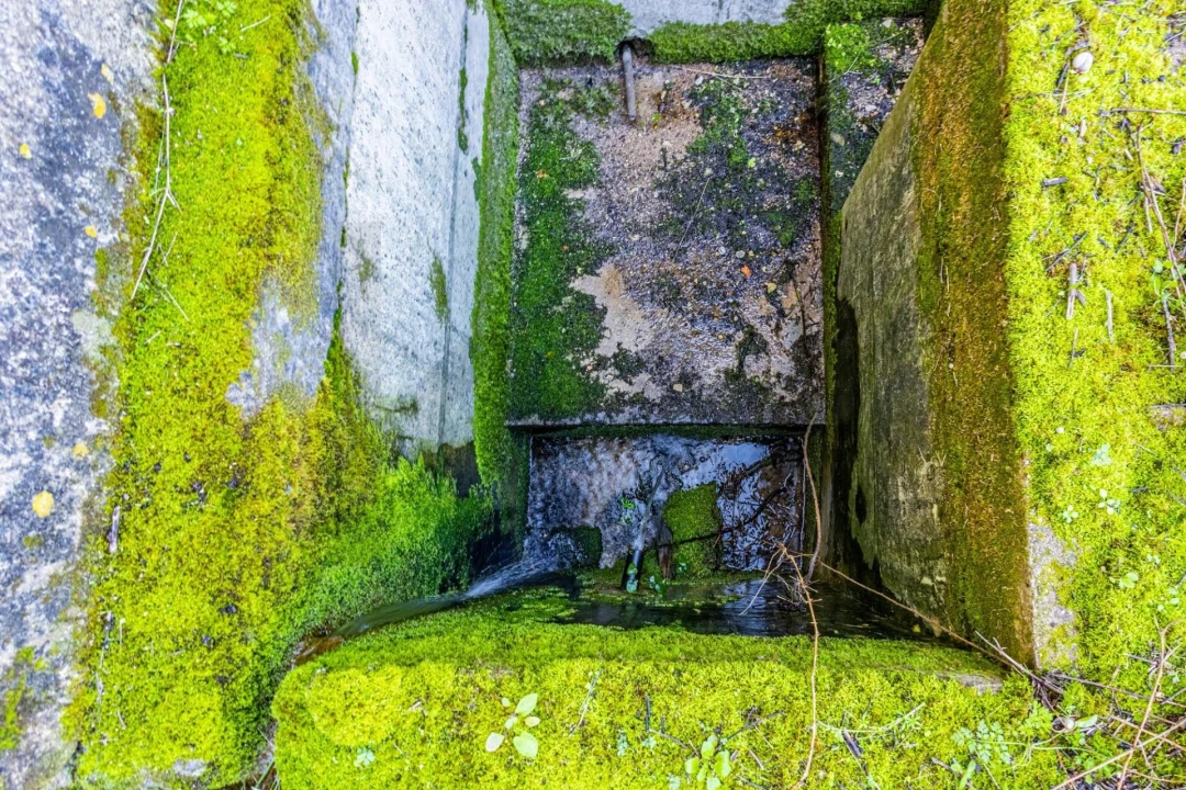 Moradia T5 para Venda em Moçarria Foto 6