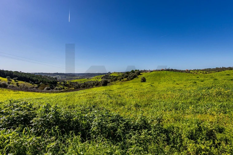 Moradia T5 para Venda em Moçarria Foto 73