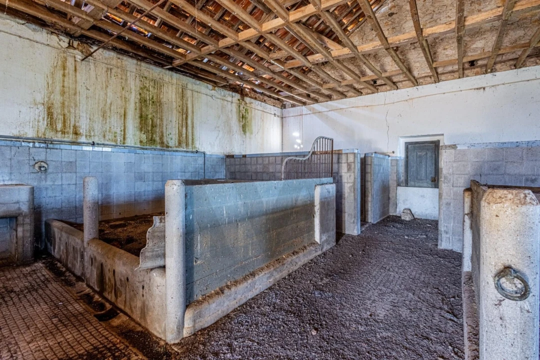 Moradia T5 para Venda em Moçarria Foto 66