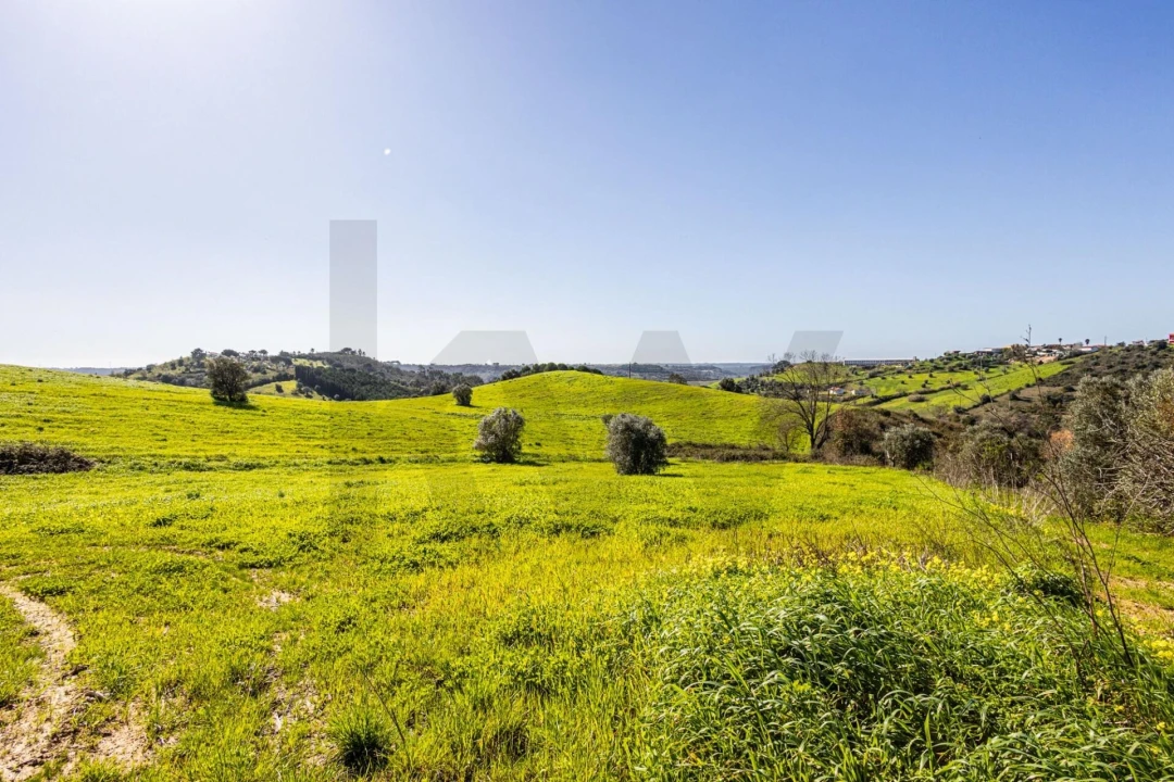 Moradia T5 para Venda em Moçarria Foto 96