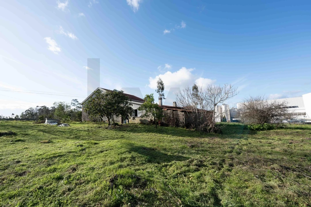 Moradia T3 para Venda em Casal Comba Foto 43