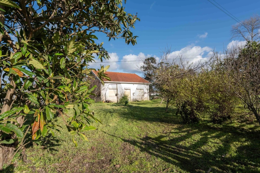 Moradia T3 para Venda em Casal Comba Foto 47