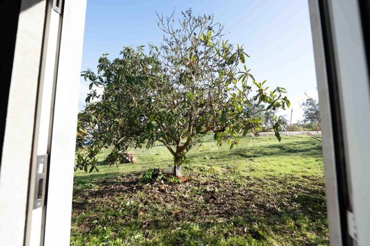 Moradia T3 para Venda em Casal Comba Foto 42