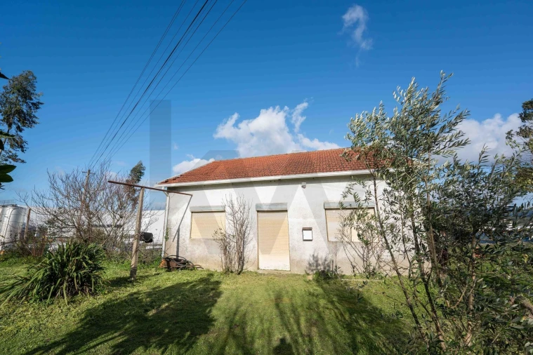 Moradia T3 para Venda em Casal Comba Foto 1