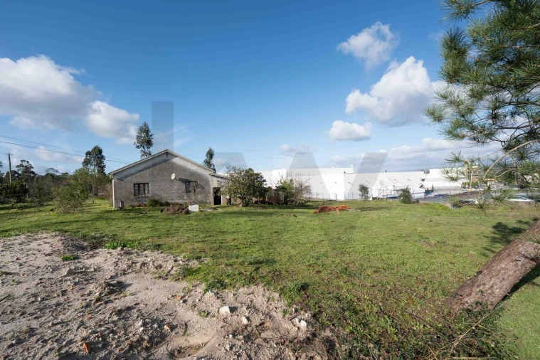 Moradia T3 para Venda em Casal Comba Foto 44