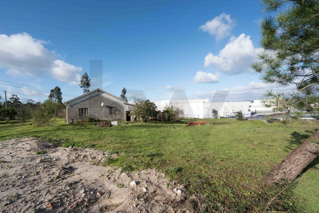 Moradia T3 para Venda em Casal Comba Foto 44