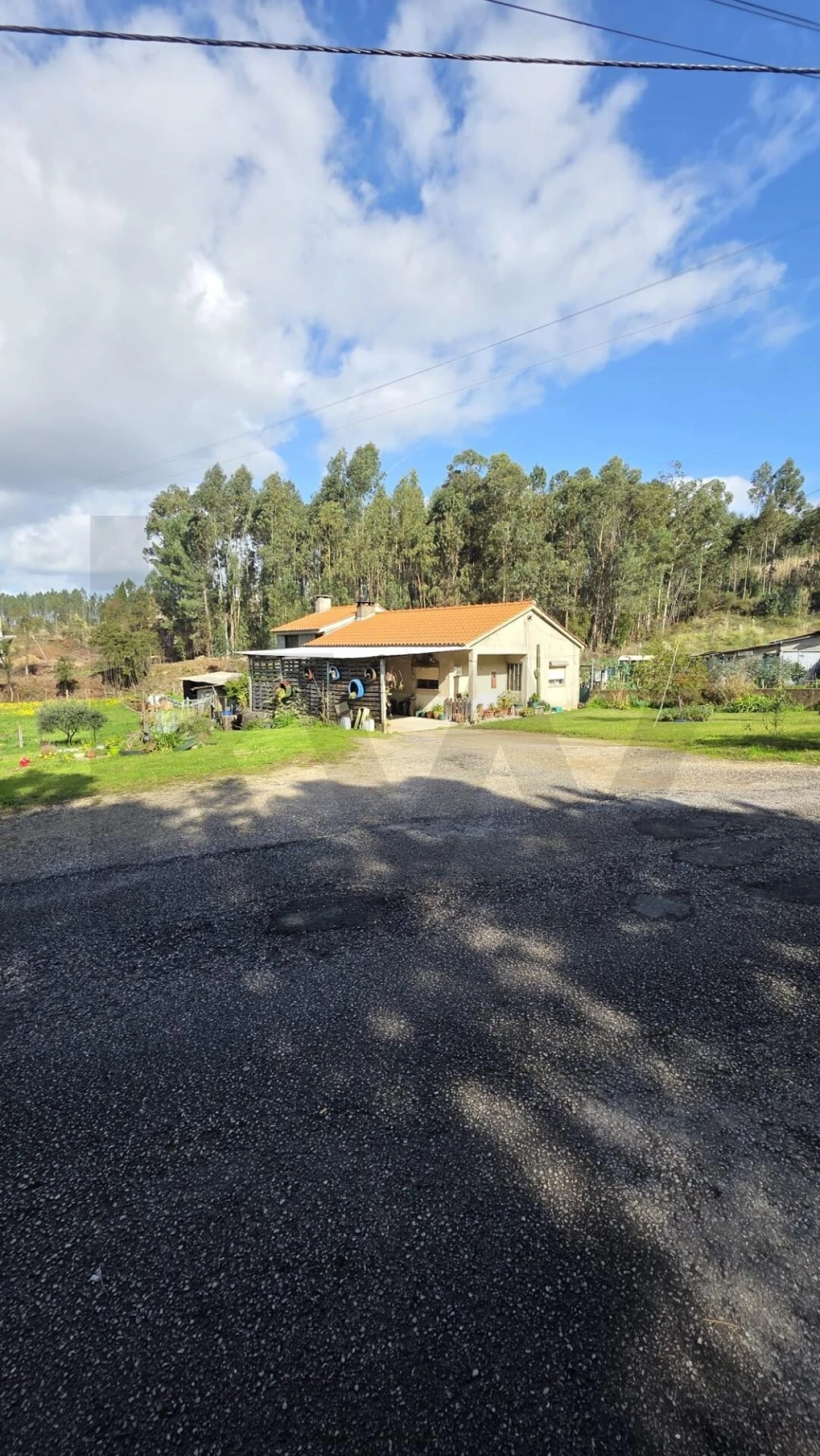 Terreno para Venda em Oliveira do Bairro Foto 8
