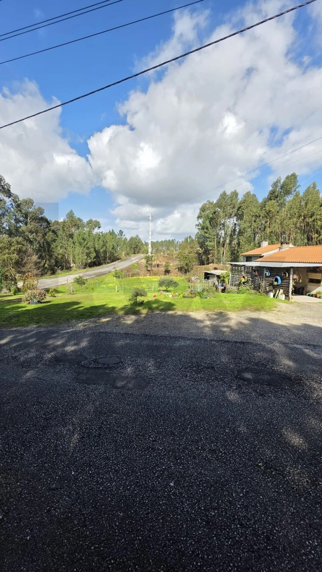 Terreno para Venda em Oliveira do Bairro Foto 9