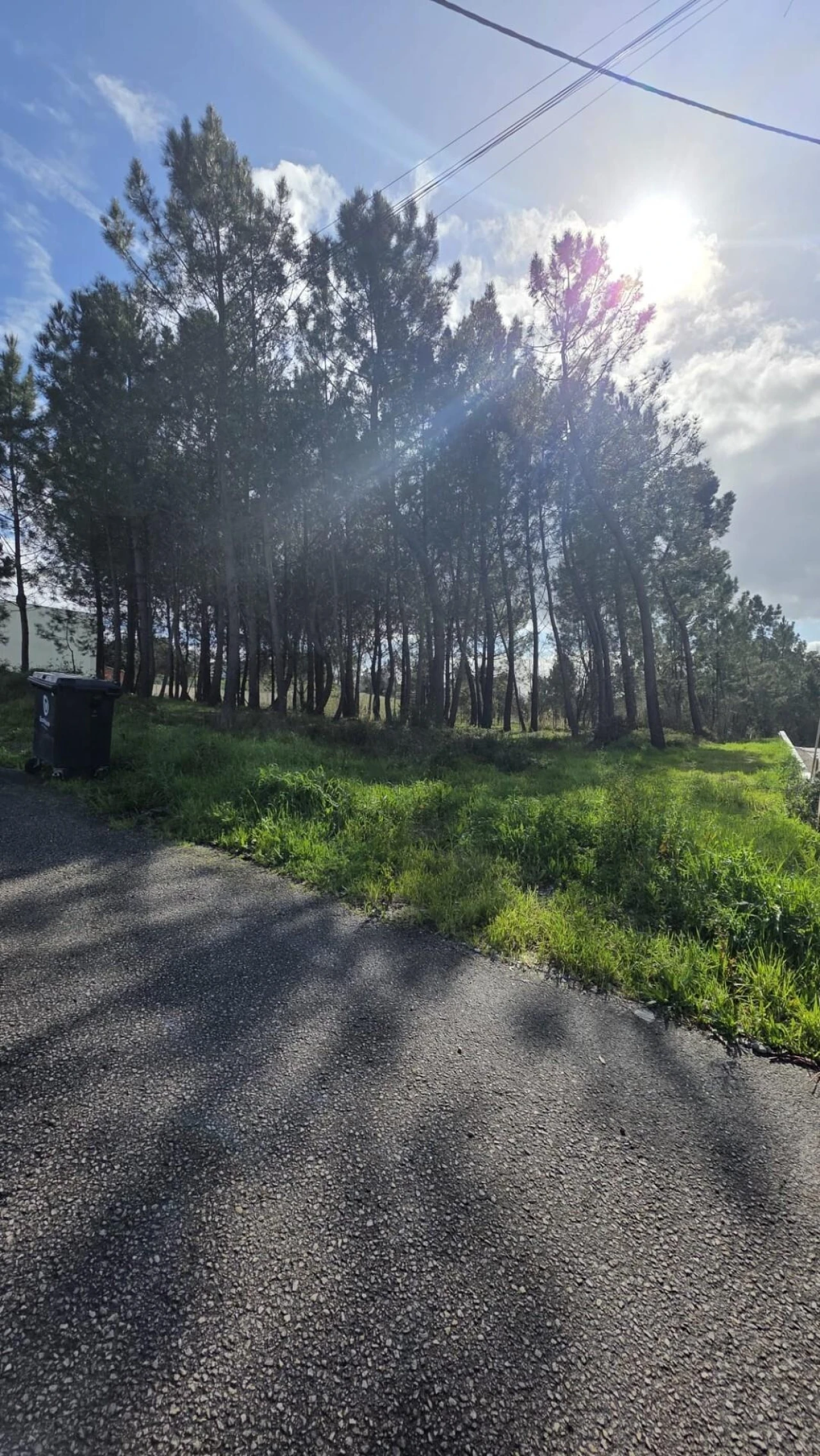 Terreno para Venda em Oliveira do Bairro Foto 7