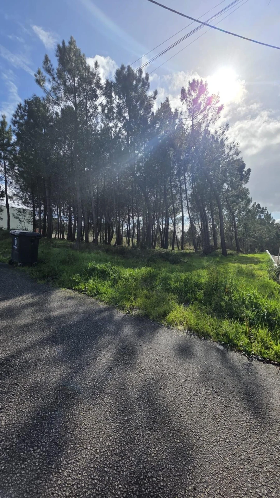Terreno para Venda em Oliveira do Bairro Foto 7