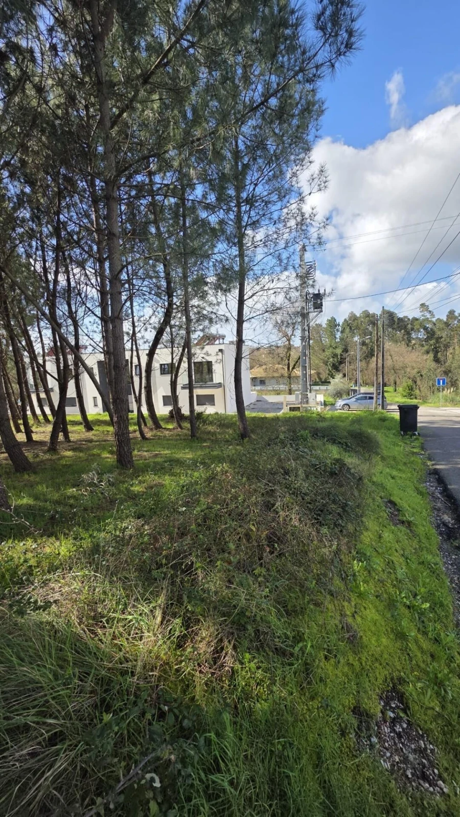 Terreno para Venda em Oliveira do Bairro Foto 1