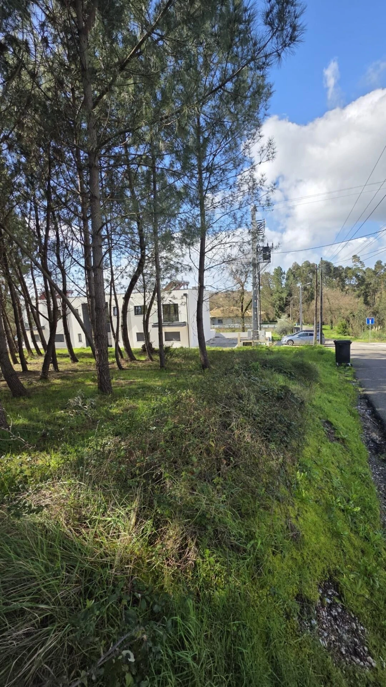 Terreno para Venda em Oliveira do Bairro Foto 1