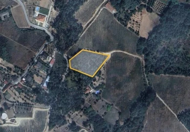 Terreno para Venda em Povolide