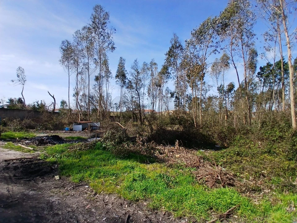 Terreno para Venda em Marinha Grande Foto 2