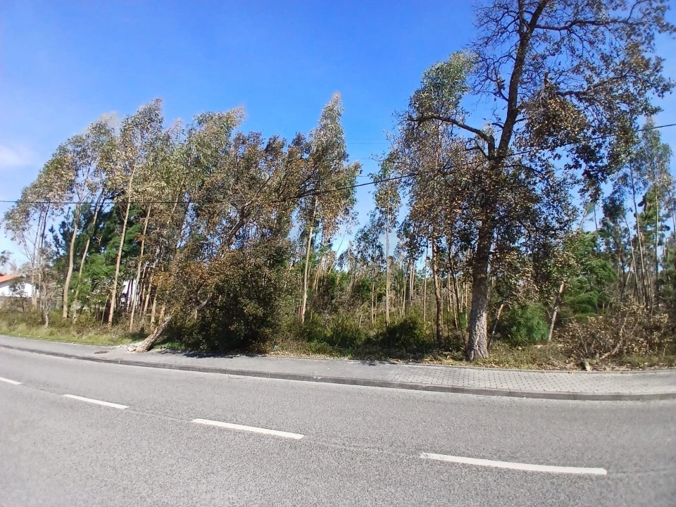 Terreno para Venda em Marinha Grande Foto 13