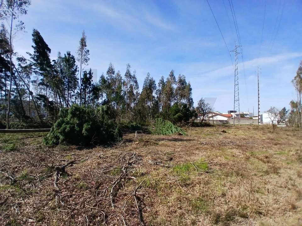 Terreno para Venda em Marinha Grande Foto 4