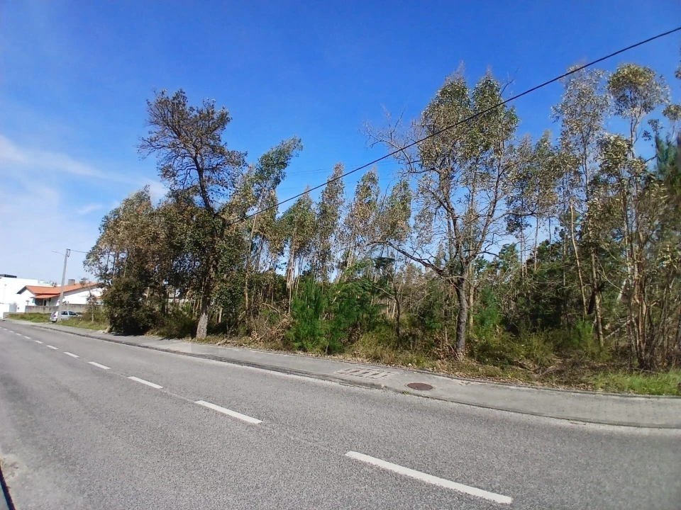 Terreno para Venda em Marinha Grande Foto 15