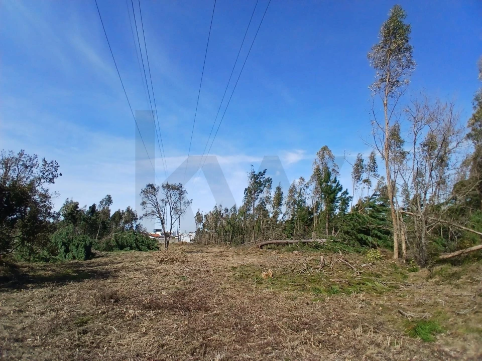 Terreno para Venda em Marinha Grande Foto 17